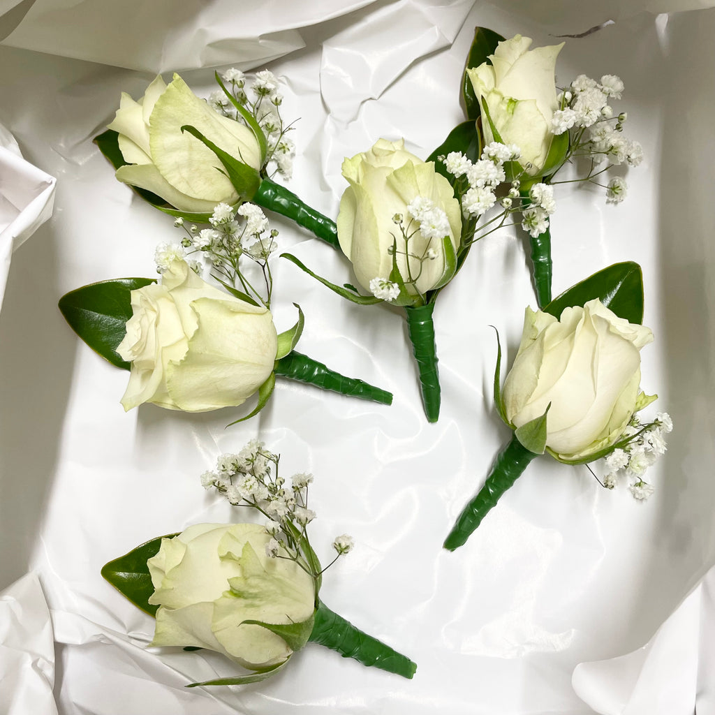 School Formal Corsage or Buttonhole - QUEEN Glenferrie ROSE